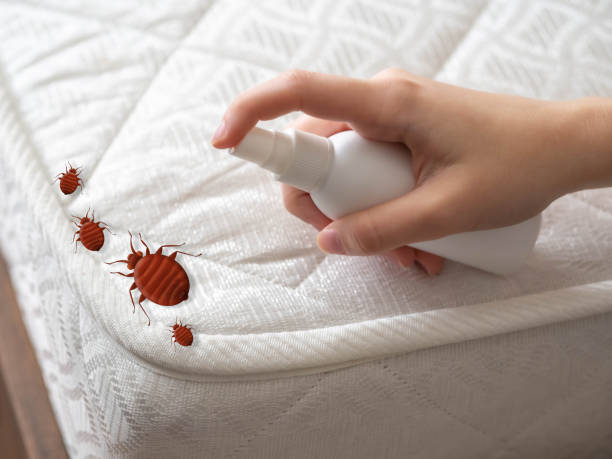 Best Pest Control Near Me  in Charleston, IL