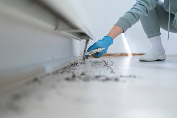 Best Affordable Pest Control Services  in Charleston, IL